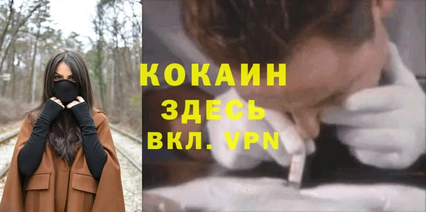 spice Каменка