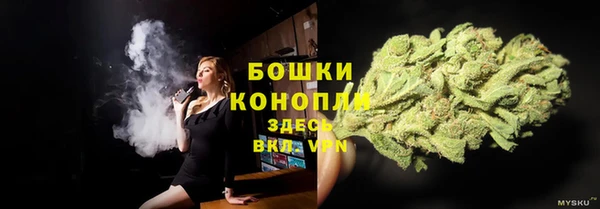 spice Каменка
