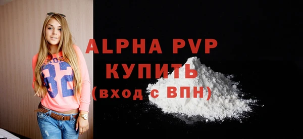 spice Каменка