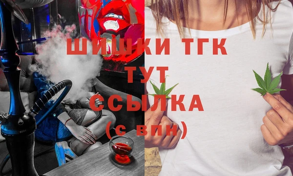 spice Каменка