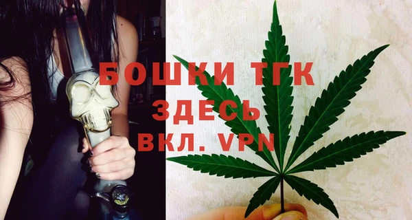 spice Каменка