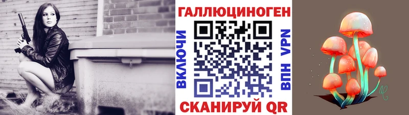 Галлюциногенные грибы Psilocybe  Купить где  Верхняя Салда 